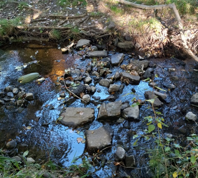 gilbert-creek-park-photo